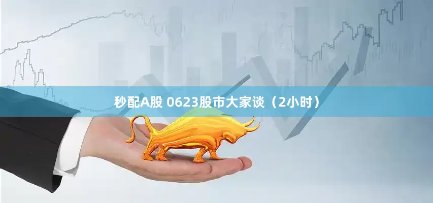 秒配A股 0623股市大家谈（2小时）