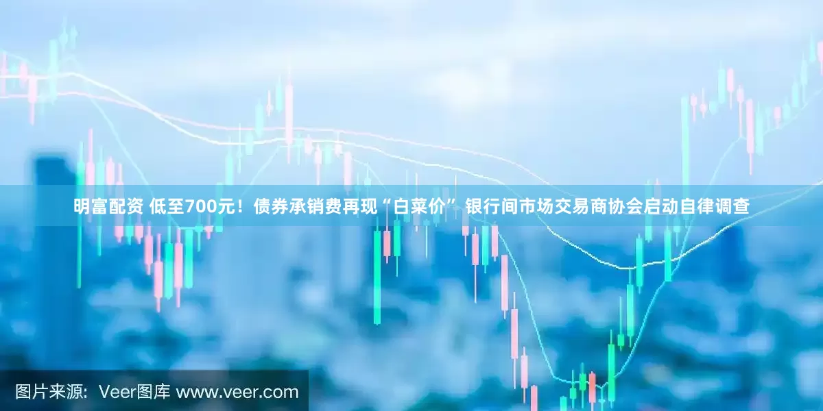 明富配资 低至700元！债券承销费再现“白菜价” 银行间市场交易商协会启动自律调查
