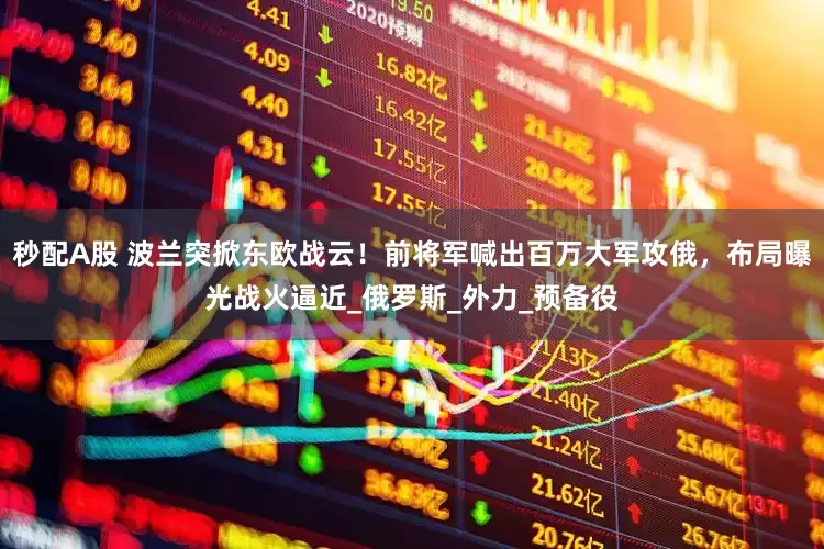 秒配A股 波兰突掀东欧战云！前将军喊出百万大军攻俄，布局曝光战火逼近_俄罗斯_外力_预备役