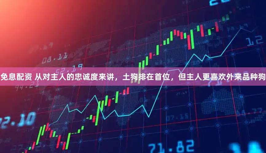 免息配资 从对主人的忠诚度来讲，土狗排在首位，但主人更喜欢外来品种狗