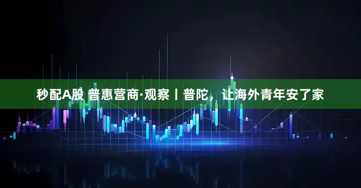 秒配A股 普惠营商·观察丨普陀，让海外青年安了家