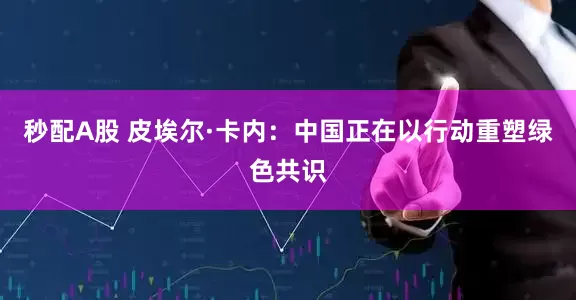 秒配A股 皮埃尔·卡内：中国正在以行动重塑绿色共识