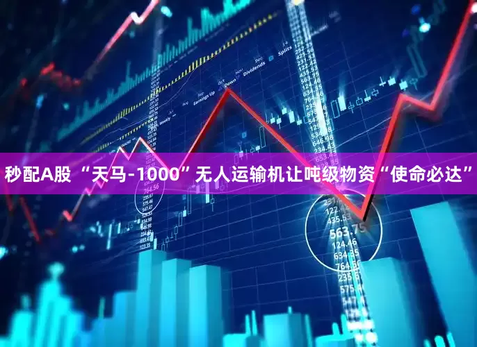 秒配A股 “天马-1000”无人运输机让吨级物资“使命必达”